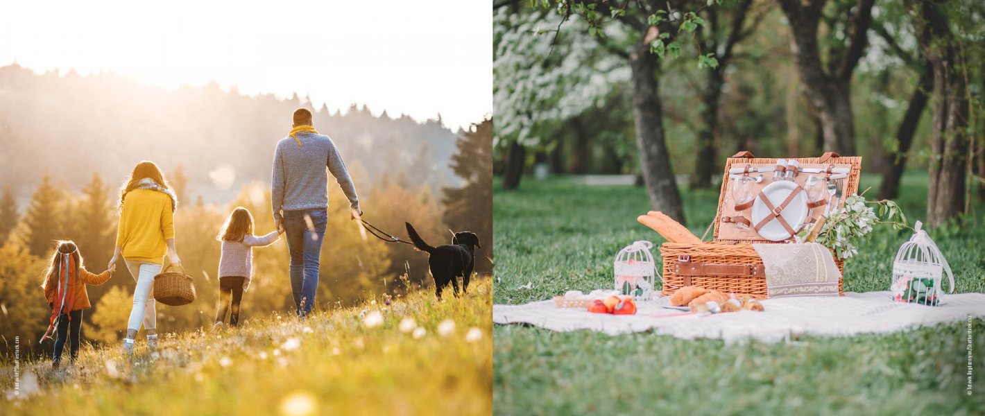 Bladerdeeghapjes voor de picnic - Tante Fanny