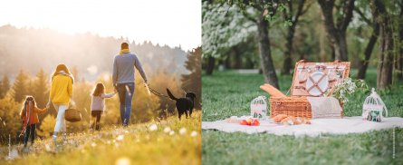 Bladerdeeghapjes voor de picnic - Tante Fanny